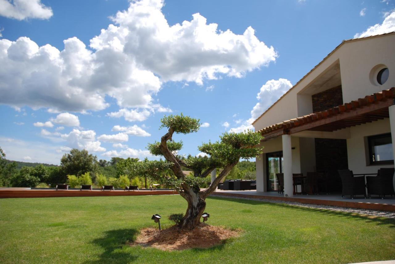 Villa Otilia-Bed And Breakfast-Chambres D'Hotes En Provence Rians  ภายนอก รูปภาพ