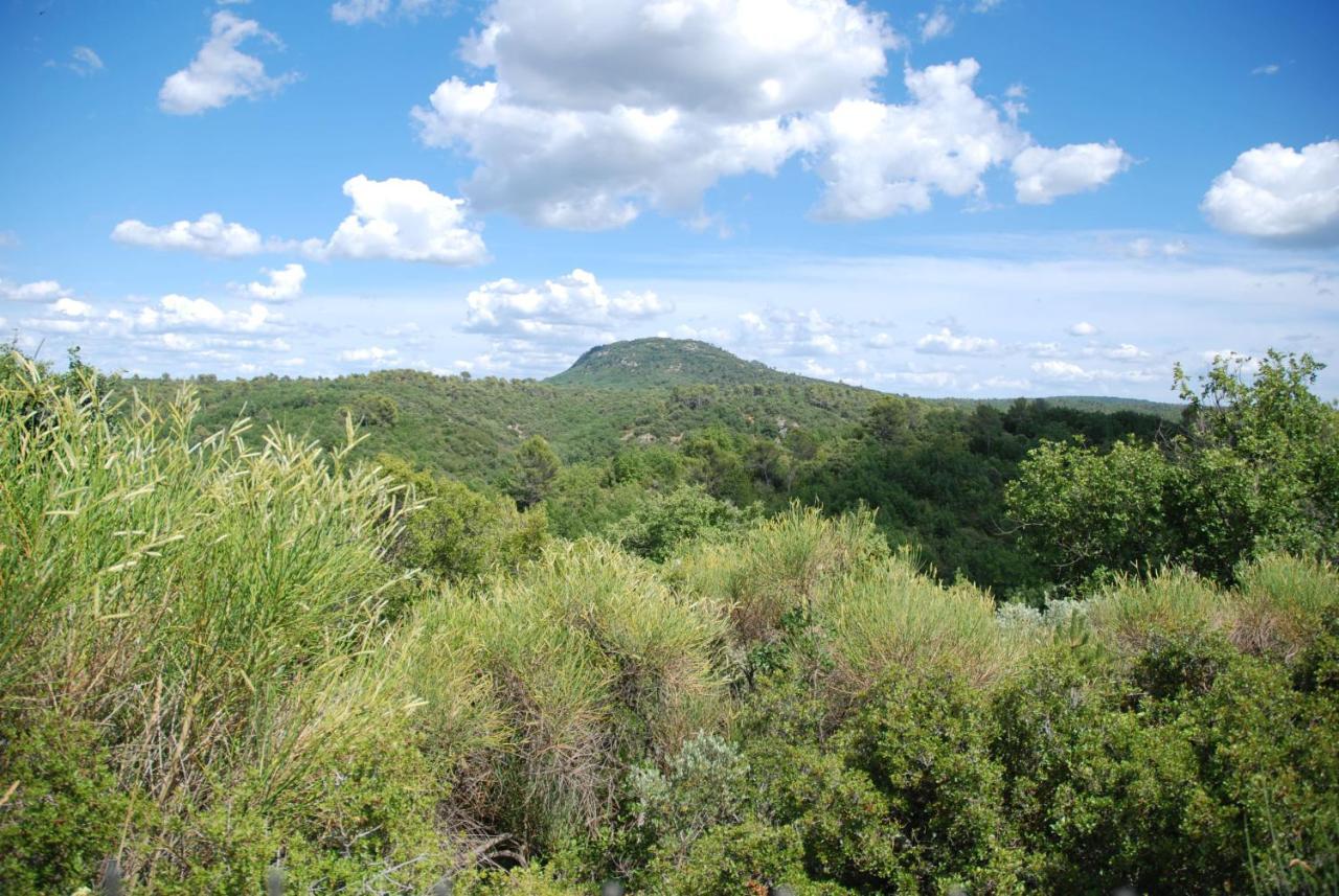 Villa Otilia-Bed And Breakfast-Chambres D'Hotes En Provence Rians  ภายนอก รูปภาพ