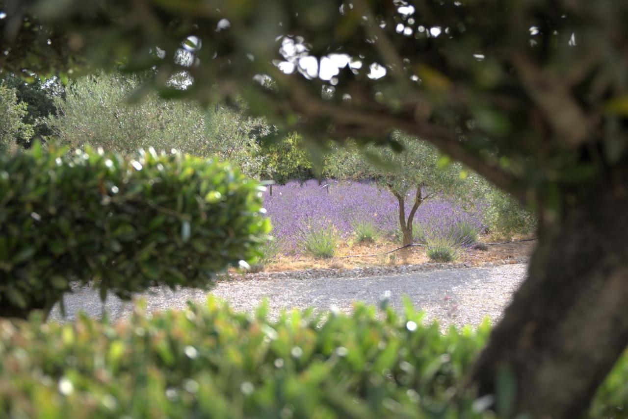 Villa Otilia-Bed And Breakfast-Chambres D'Hotes En Provence Rians  ภายนอก รูปภาพ